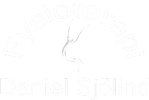 Fysioterapi Daniel Sjölind